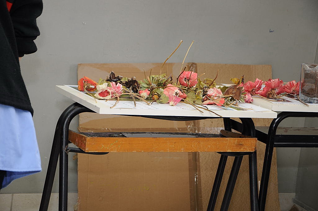decoupage_ecc__006