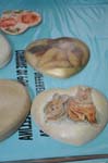 decoupage_ecc__040