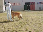 DSCN2742