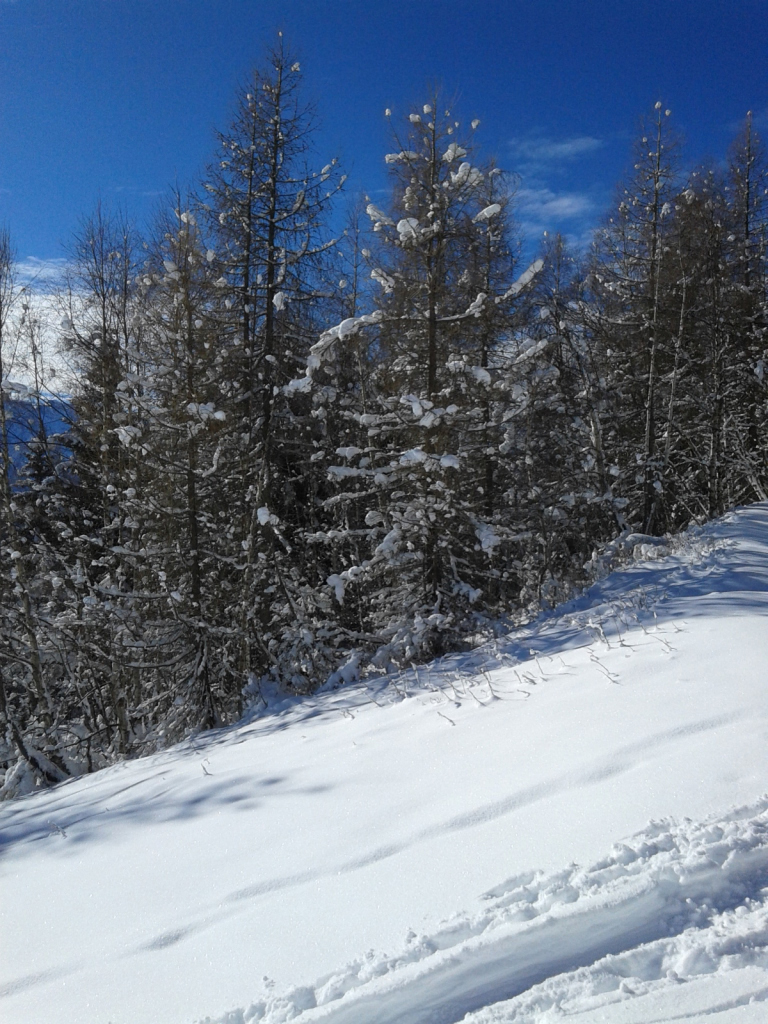 20170207_104758
