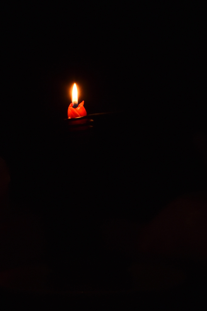 DSC_1883
